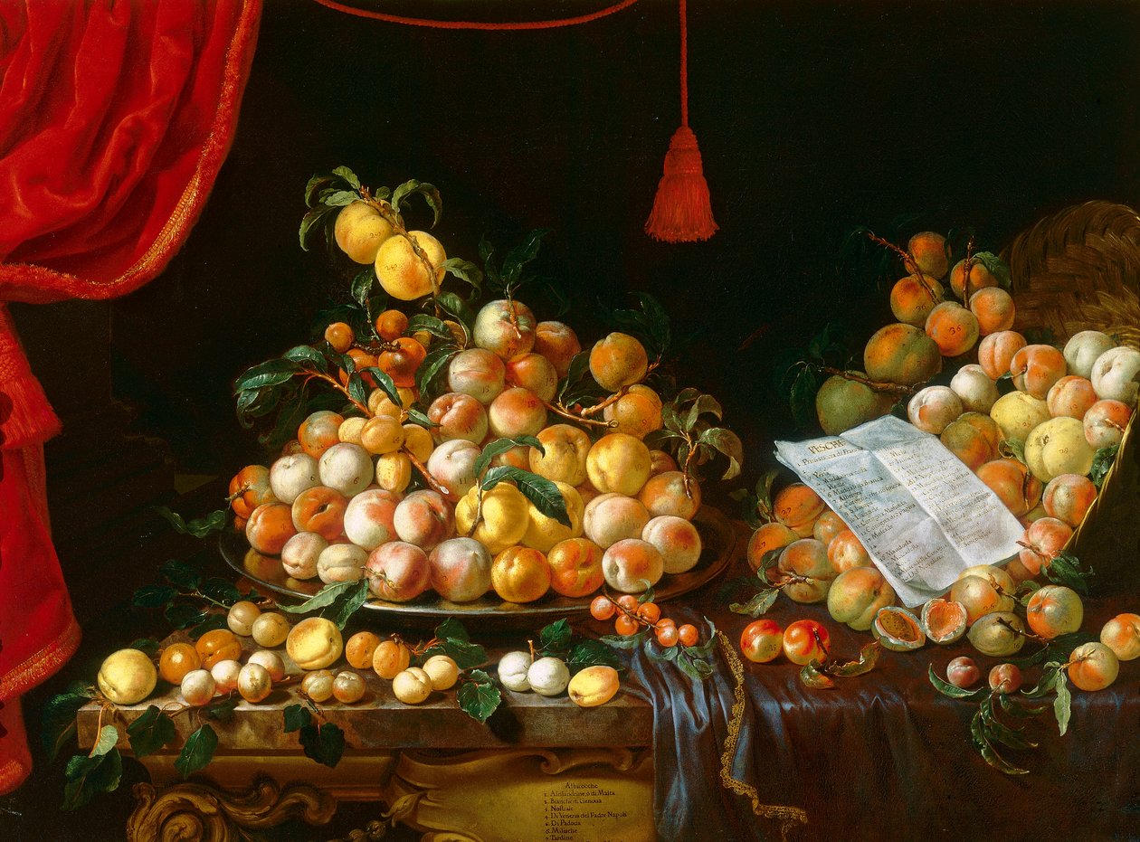 Pêssegos e damascos de Bartolomeo Bimbi