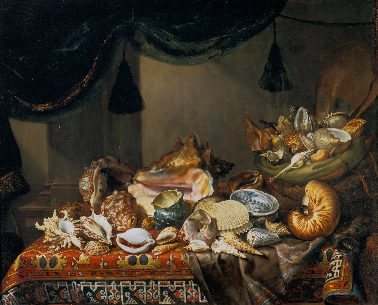 Ainda-vida com conchas de Bartolomeo Bimbi