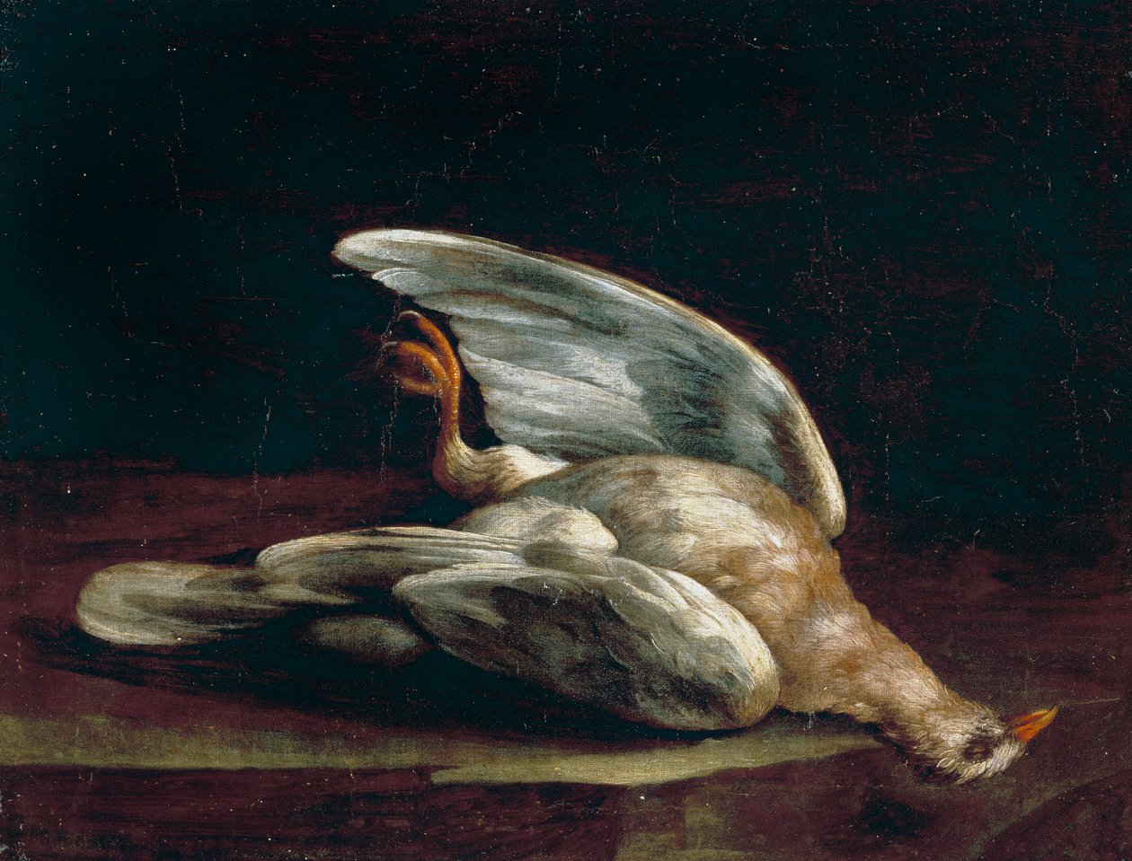 Pombo da floresta de Bartolomeo Bimbi
