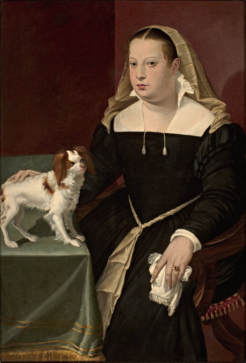 Retrato de uma senhora com um cachorro de Bartolomeo Passarotti