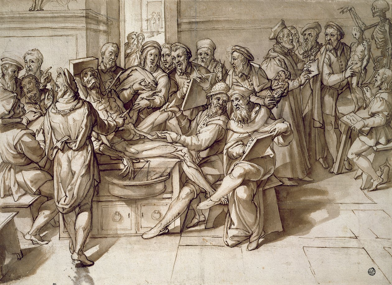 A lição de anatomia (caneta e tinta) de Bartolomeo Passarotti