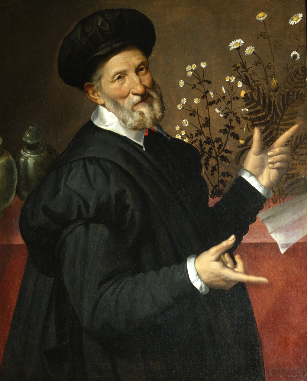 O botânico, 1570 de Bartolomeo Passarotti