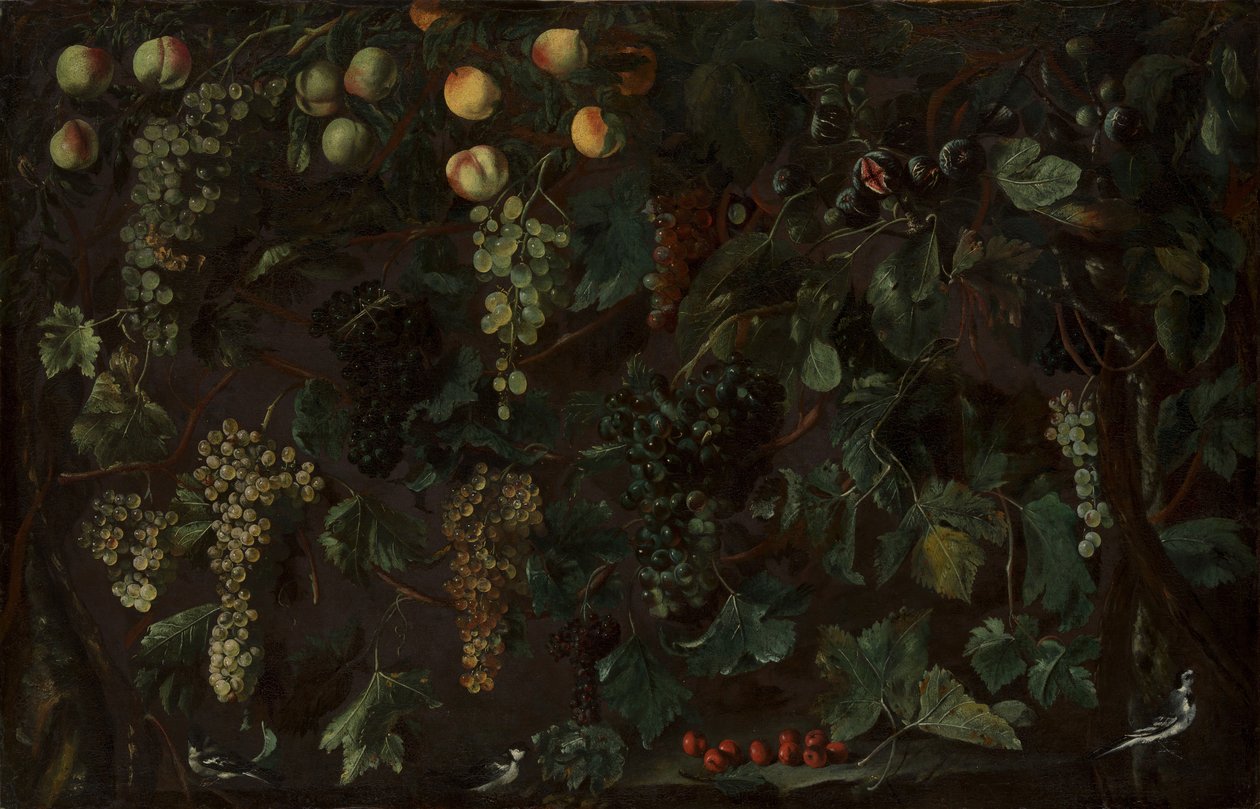 Vinhas e Frutos, com Três Alvéolas, ca. 1615-18. de Bartolomeo Cavarozzi