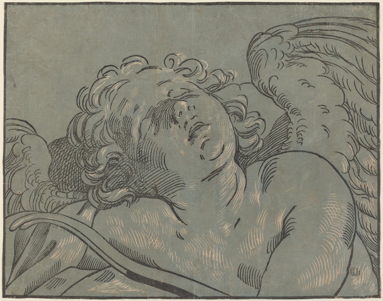 Cupido dormindo de Bartolomeo Coriolano after Guido Reni