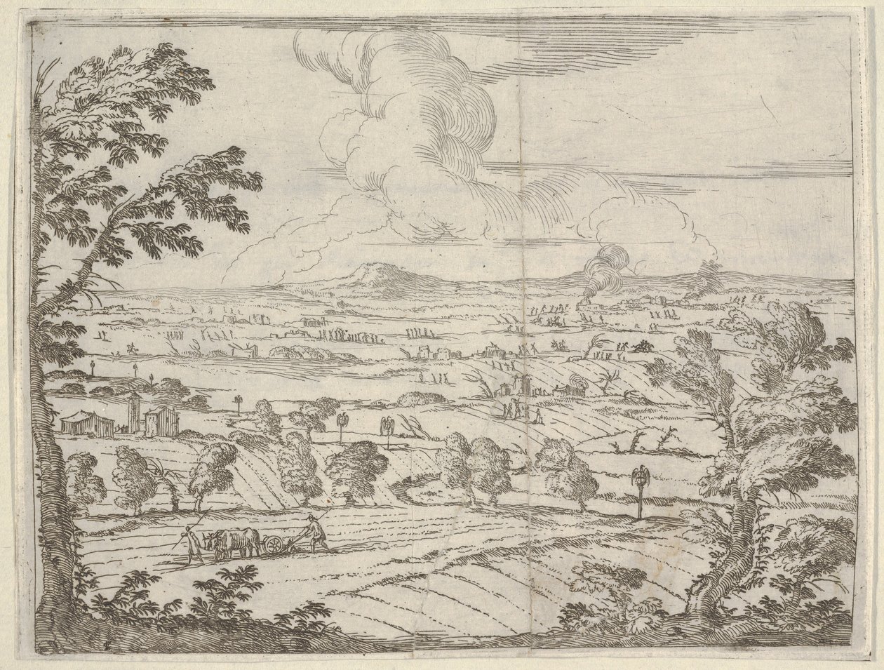Floresta. de Bartolomeo Fenice