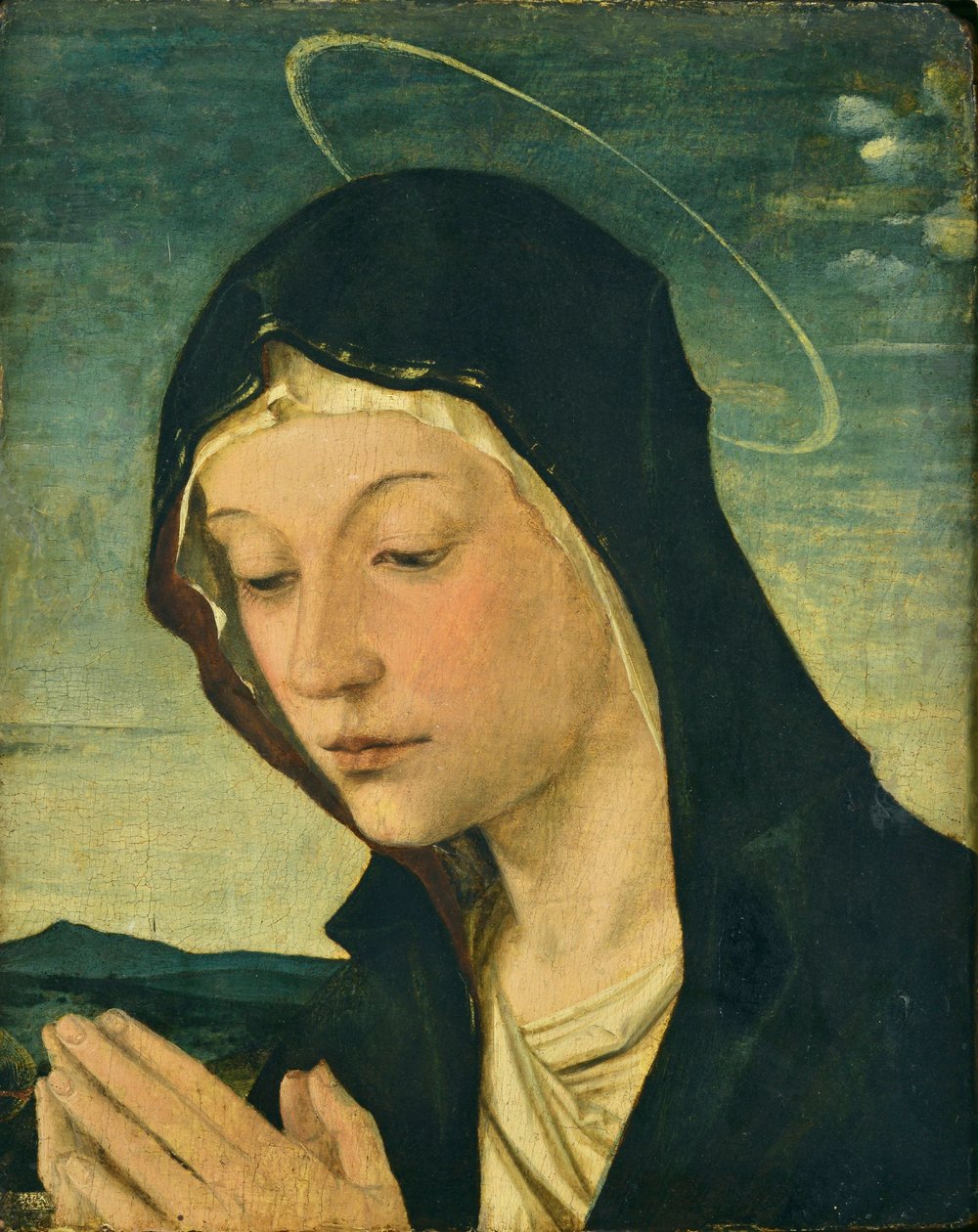 Cabeça e mãos de uma Madona adoradora (Fragmento), c.1477-78 (têmpera sobre madeira de choupo) de Bartolomeo Montagna