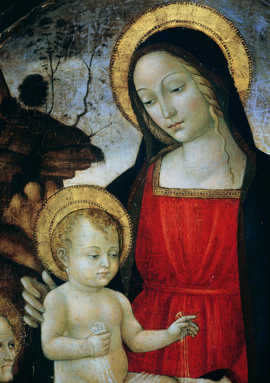 Madona e Menino (pormenor) de Bartolomeo Montagna