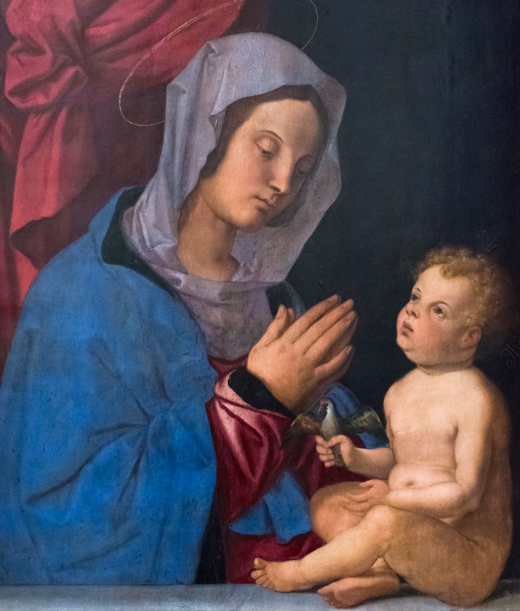 Madonna e criança, c.1503 (óleo sobre painel de madeira) de Bartolomeo Montagna