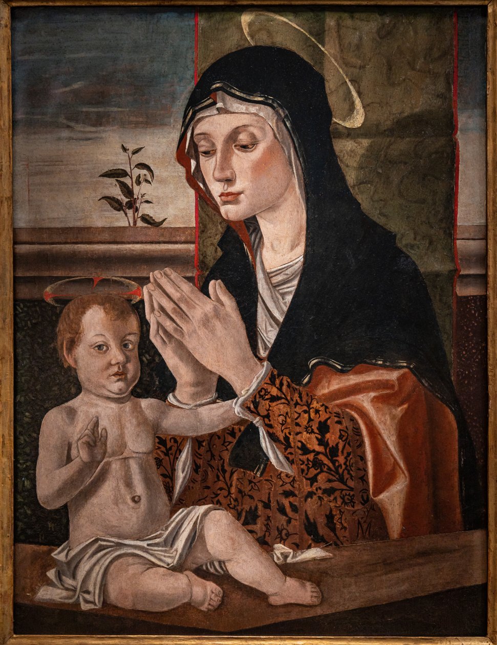 A Madonna com o Menino Jesus de Bartolomeo Montagna