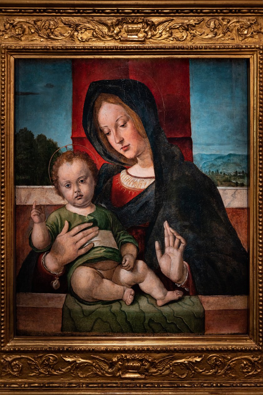 Madonna com o Menino Jesus, última década do século XV (óleo sobre painel) de Bartolomeo Montagna