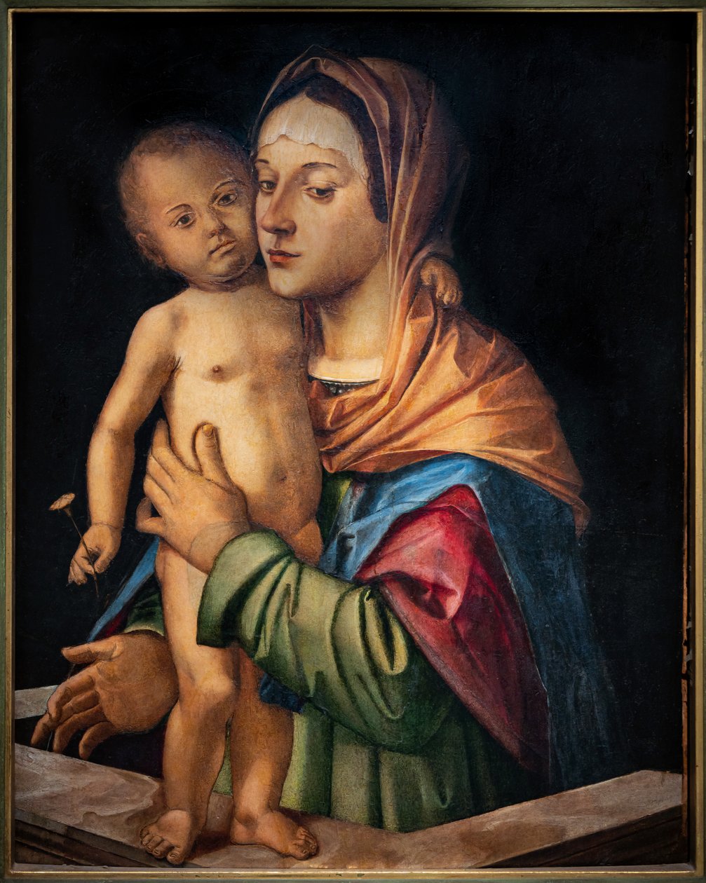 Madonna com o Menino Jesus em pé numa balaustrada, no início do século XVI (óleo sobre painel) de Bartolomeo Montagna