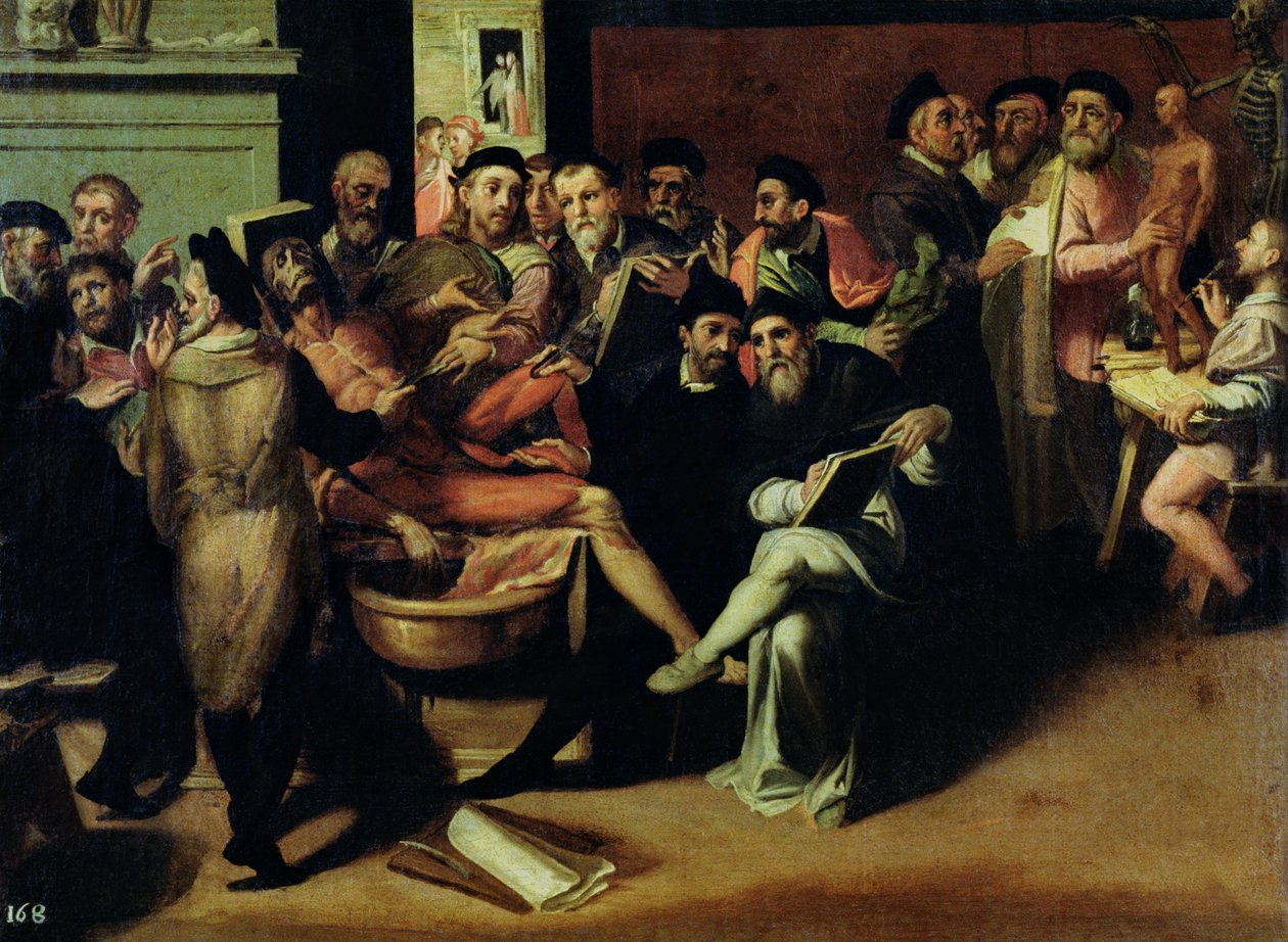 Uma aula de anatomia para artistas de Bartolomeo Passarotti
