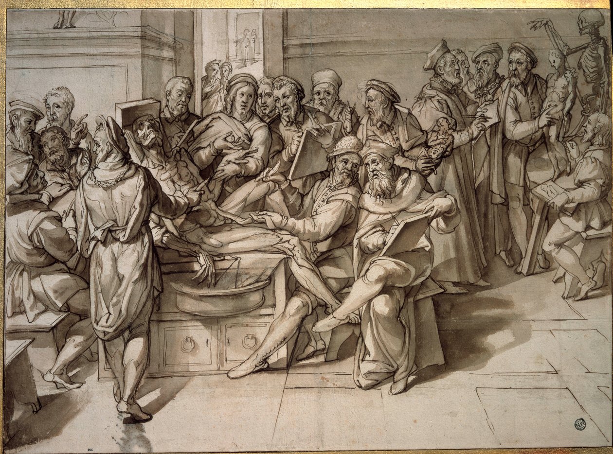 Palestra de Anatomia dada por Michelangelo Buonarroti dit Michelangelo (Michelangelo ou Michel Ange) de Bartolomeo Passarotti