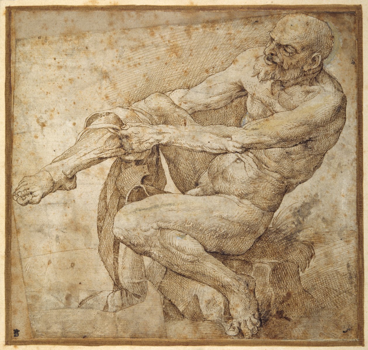Homem nu puxando sua mangueira, depois de Marcantonio Raimondi e Michelangelo Buonarroti (caneta e tinta marrom sobre papel) de Bartolomeo Passarotti