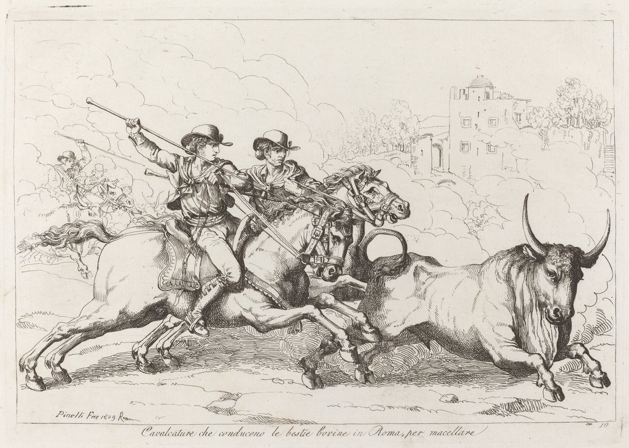 Gado conduzido ao matadouro em Roma (ilustração 16) de Bartolomeo Pinelli