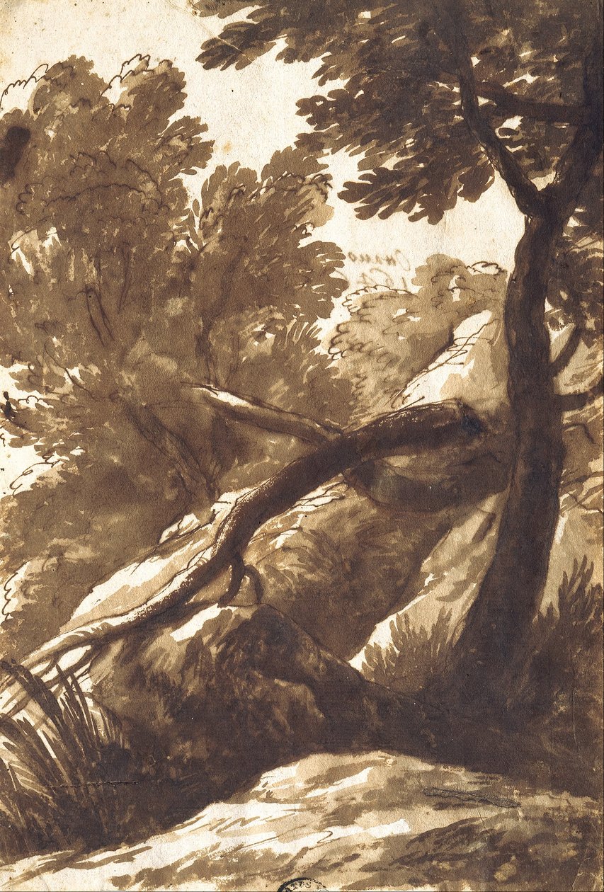 Paisagem arborizada de Bartolomeo Torregiani