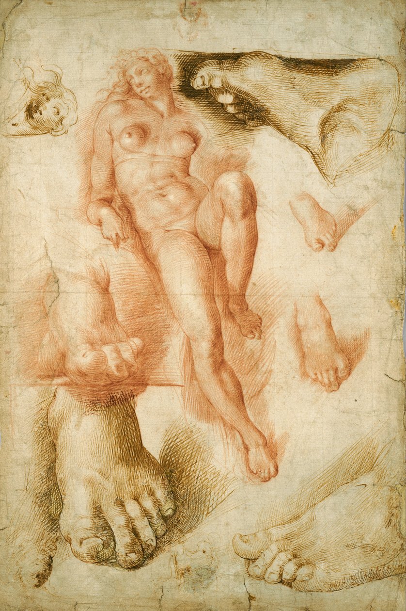 Copie após a Aurora de Michelangelo de Bartolommeo Passerotti