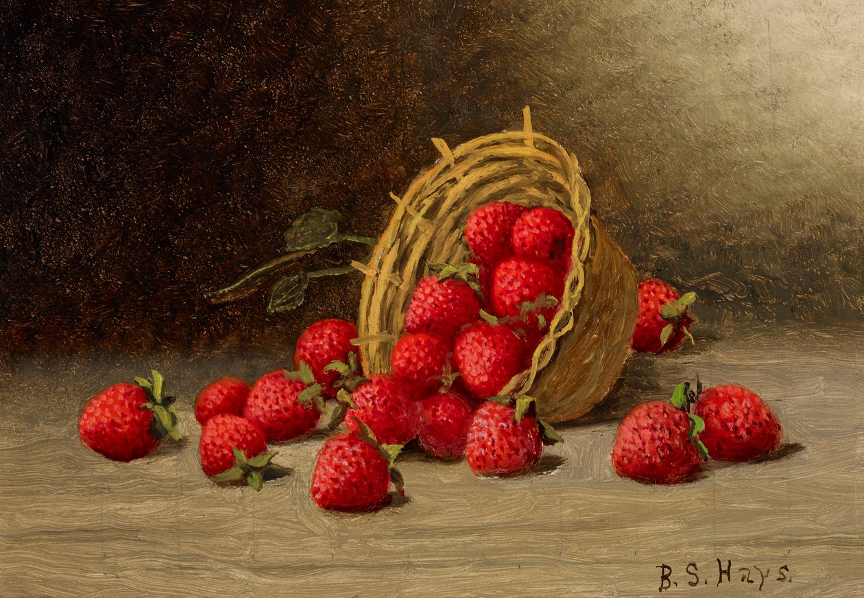 Morangos de Barton S. Hays