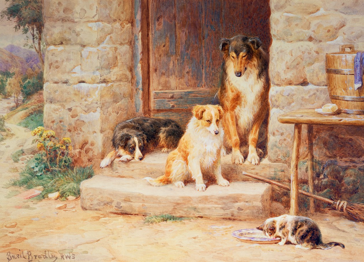 Viva e Deixe Viver de Basil Bradley
