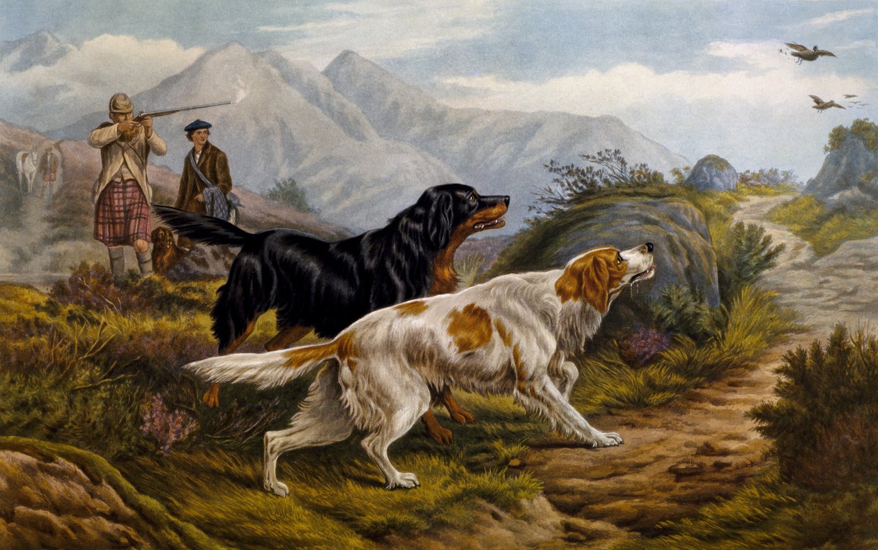 Caça ao galo de Basil Bradley