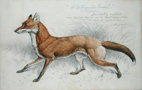 Um distinto General de Basil J. Nightingale