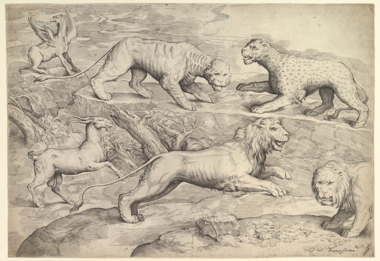 Seis animais, incluindo leões, um tigre, um leopardo, um grifo e uma cabra, ca. 1530-61. de Battista Franco Veneziano