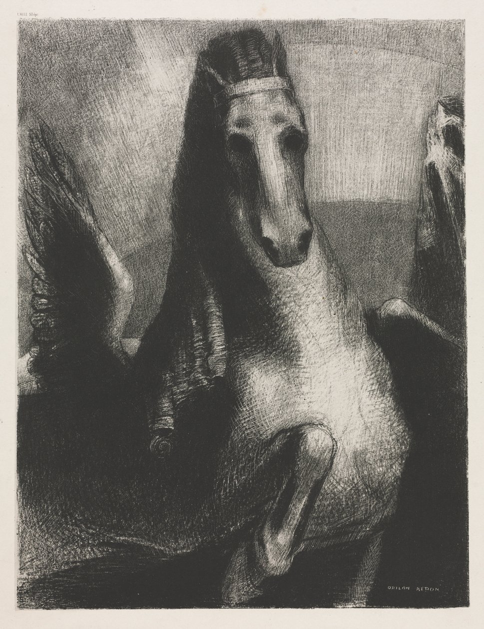A asa de Becquet