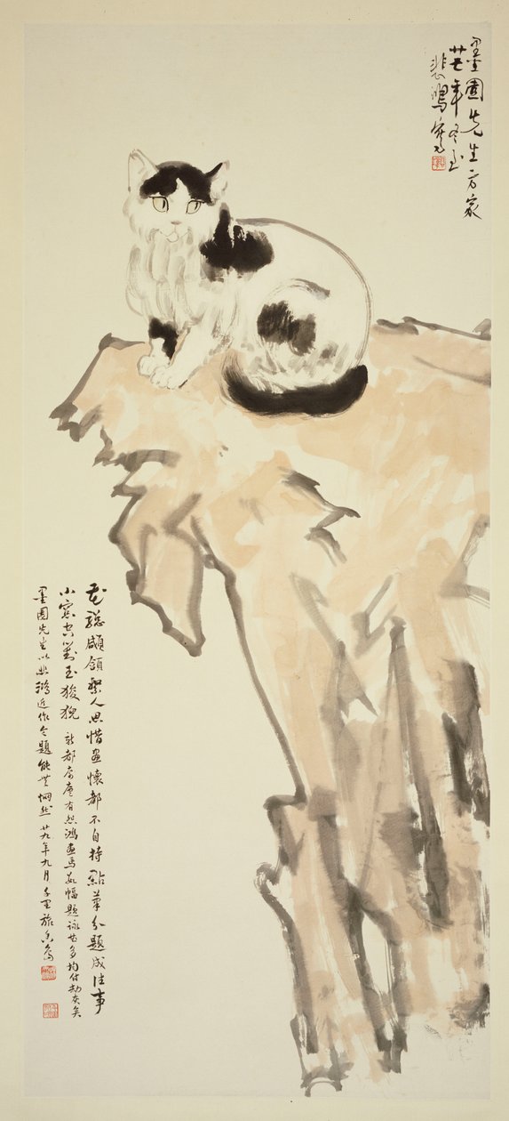 Um gato sentado numa rocha de Beihong Xu
