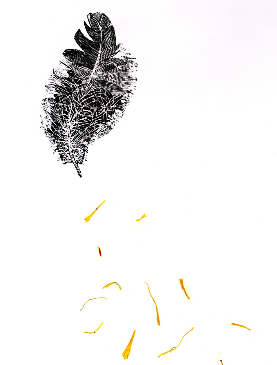 Pena {Fay-erie Dust}, 2014 (gravura em madeira e fragmentos de plantas sobre papel) de Bella Larsson