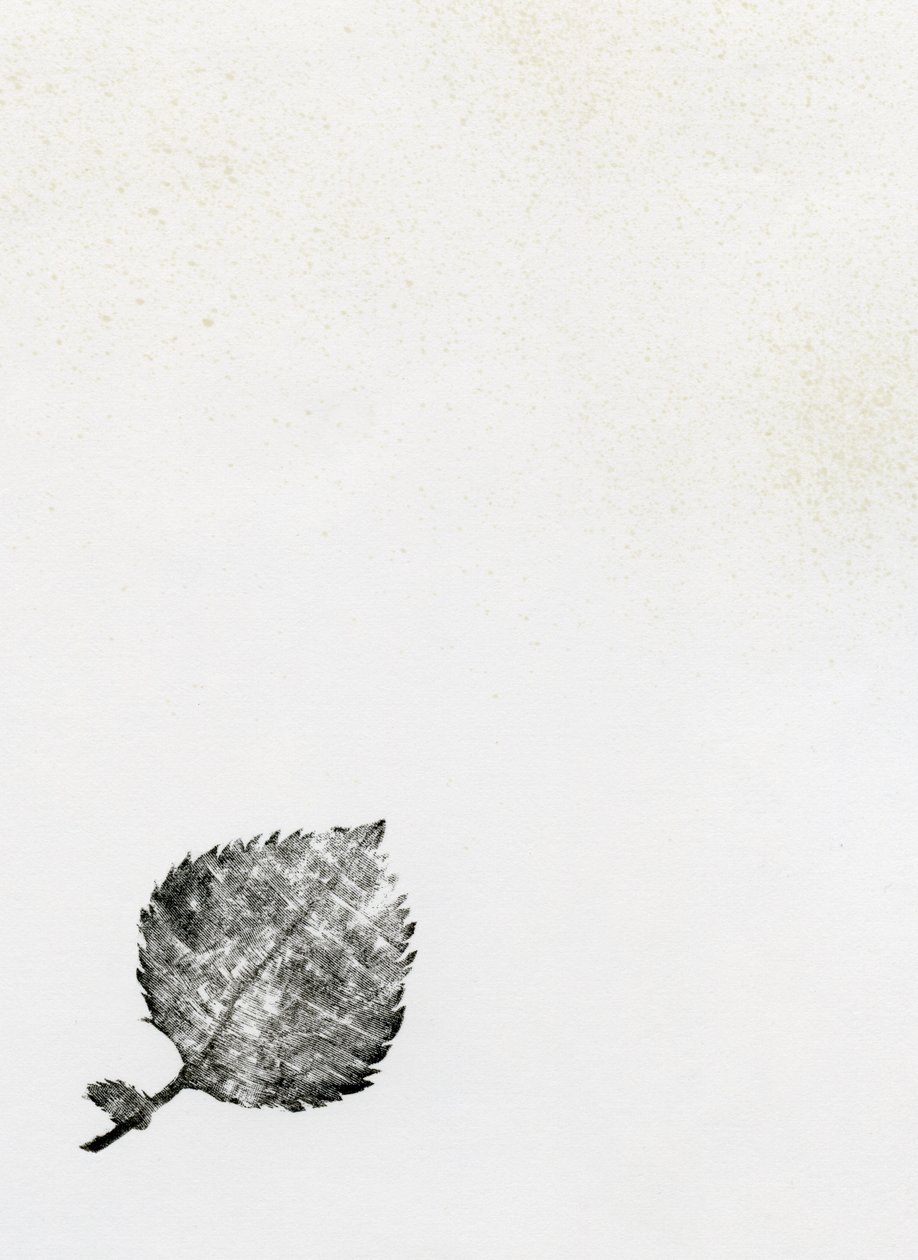 Folha {Fay-erie Dust}, 2014 (gravura em madeira e tinta sobre papel) de Bella Larsson