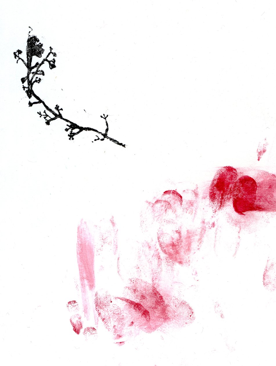 Líquen {Fay-erie Dust}, 2014 (gravura em madeira e aguarela sobre papel) de Bella Larsson