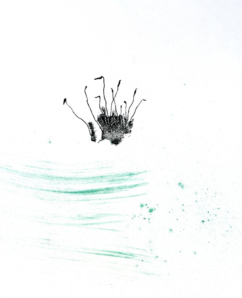 Moss {Fay-erie Dust}, 2014 (gravura em madeira e pigmento no papel) de Bella Larsson