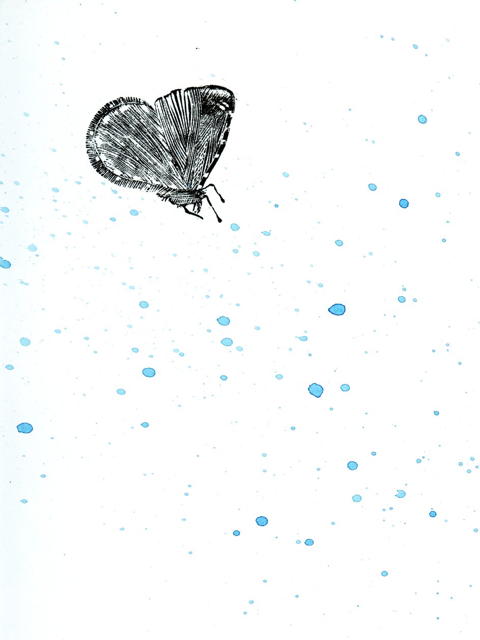 Traça {Fay-erie Dust}, 2014 (gravura em madeira e aquarela sobre papel) de Bella Larsson