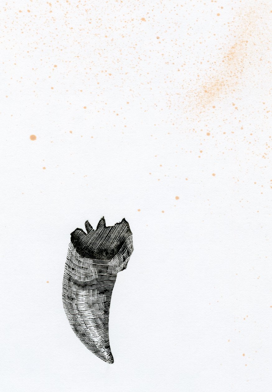 Dente {Fay-erie Dust}, 2014 (gravura em madeira e tinta sobre papel) de Bella Larsson