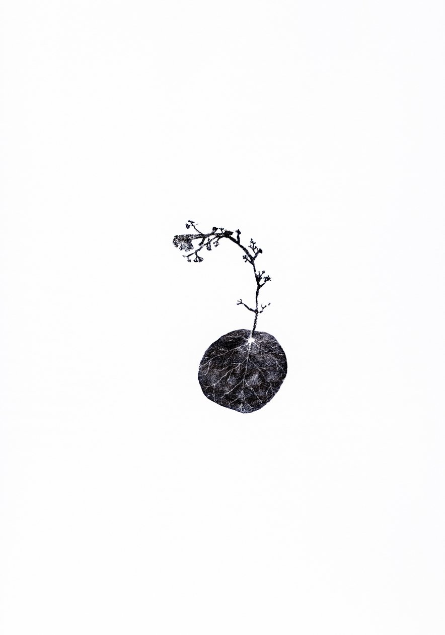 Rebocador, 2014 (gravura em madeira sobre papel) de Bella Larsson
