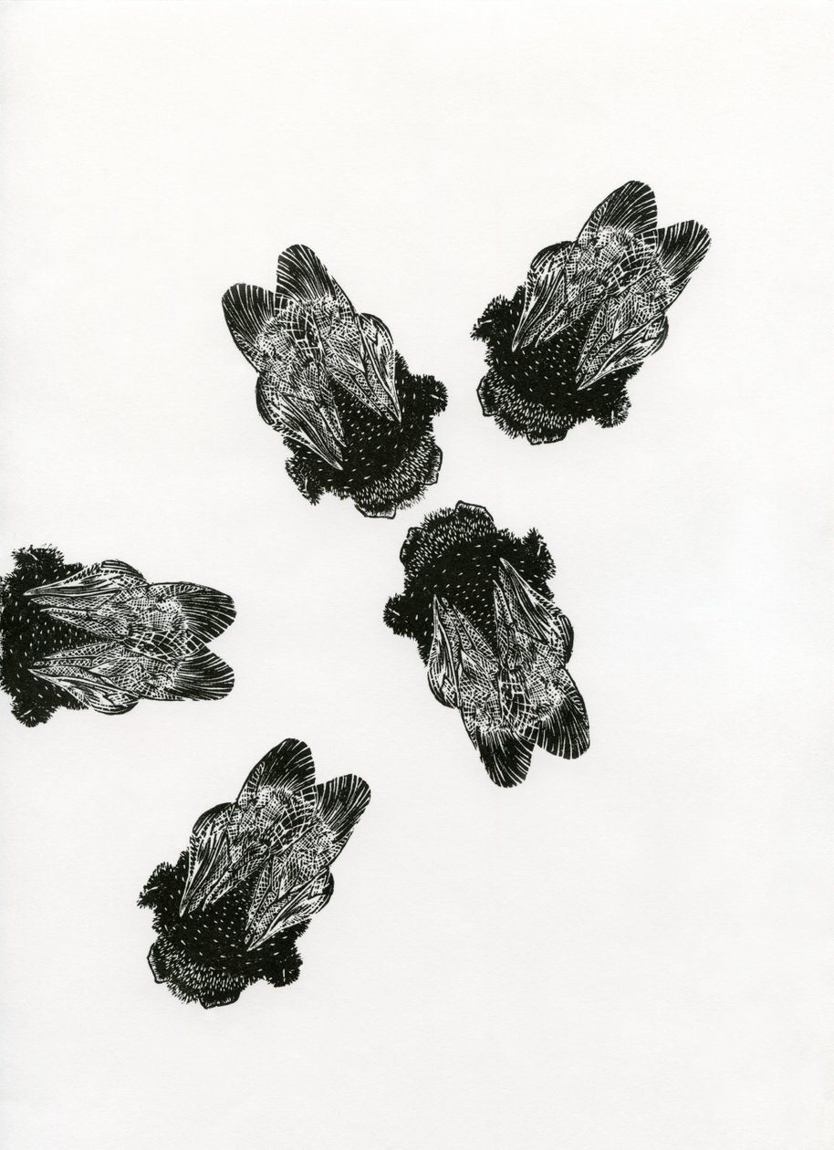 Encontro dos Abelhões, 2013 (gravura em madeira sobre papel) de Bella Larsson