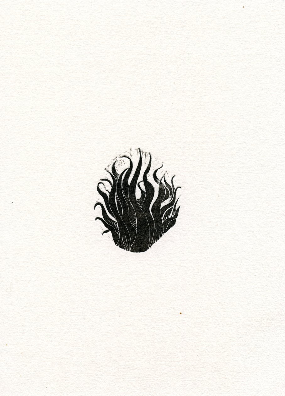 Fogo, 2017, (gravura em madeira sobre papel) de Bella Larsson