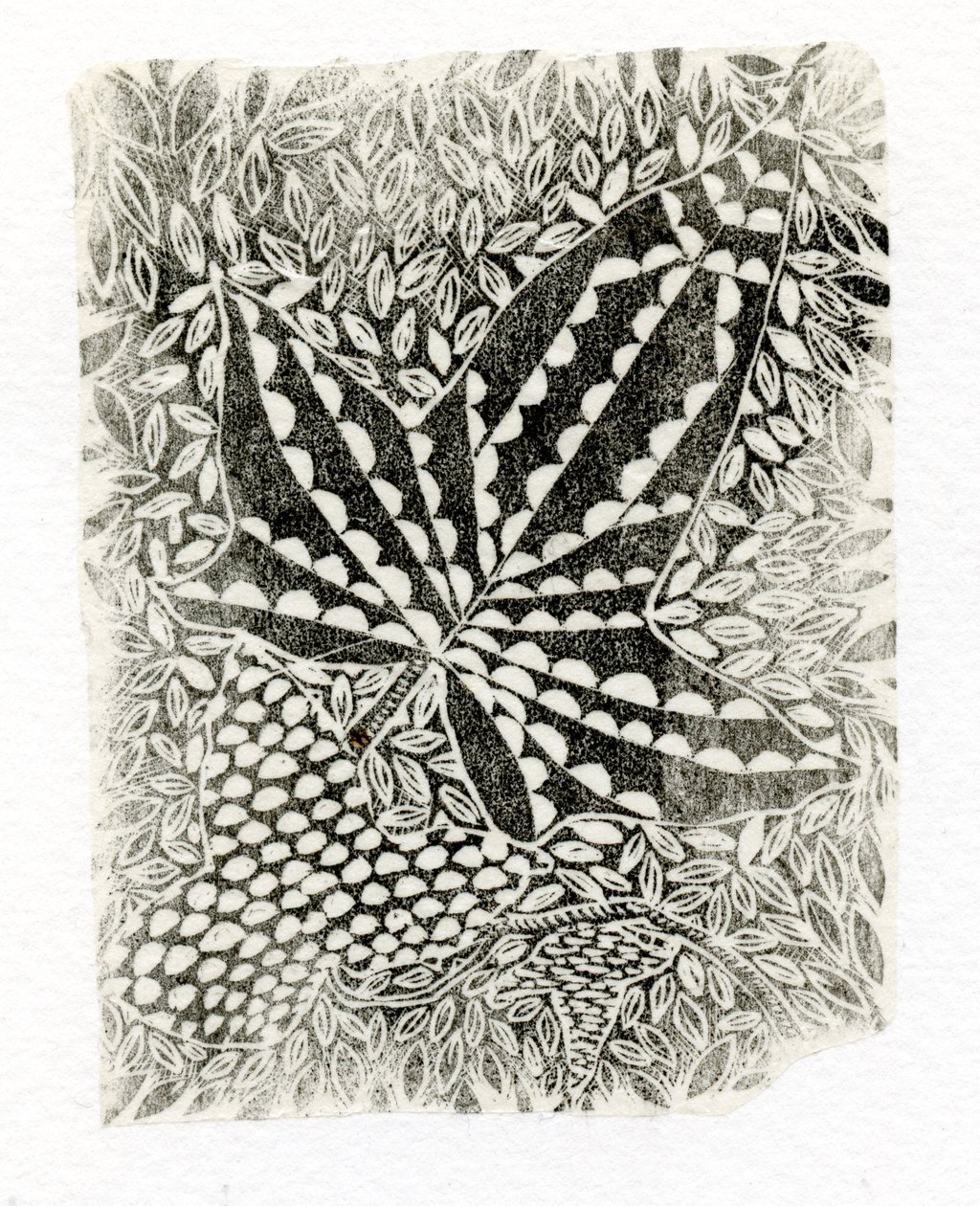 Ivy, 2014, (gravura em madeira sobre papel) de Bella Larsson