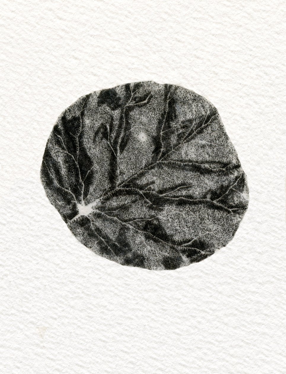 Folha, 2014, (gravura em madeira sobre papel) de Bella Larsson