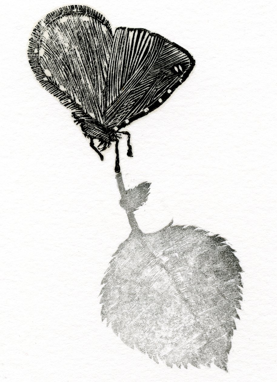 Suspense, 2014 (Gravação em madeira, colagem sobre papel) de Bella Larsson