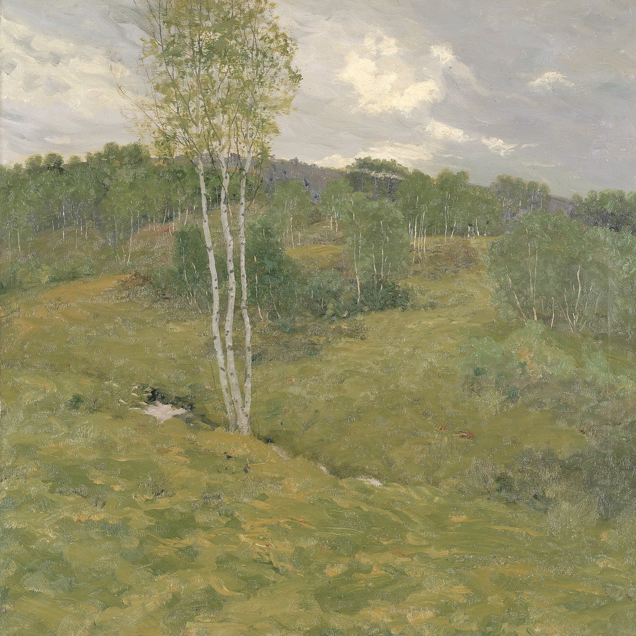 Colinas de Bétula, ca. 1908. de Ben Foster