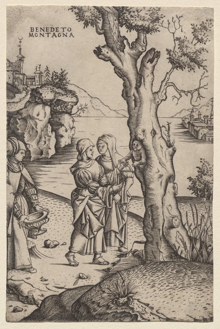 Nascimento de Adonis (da série: As Metamorfoses) de Benedetto Montagna