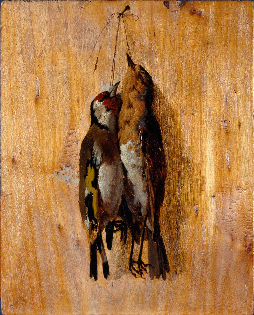 Estudo de depois da natureza Dois alfinetes de pássaros mortos na parede. Pintura de Benedetto Musso (1835-1883) 1864 circa Sun. Genes de 20,5x16,5 cm, Galleria d