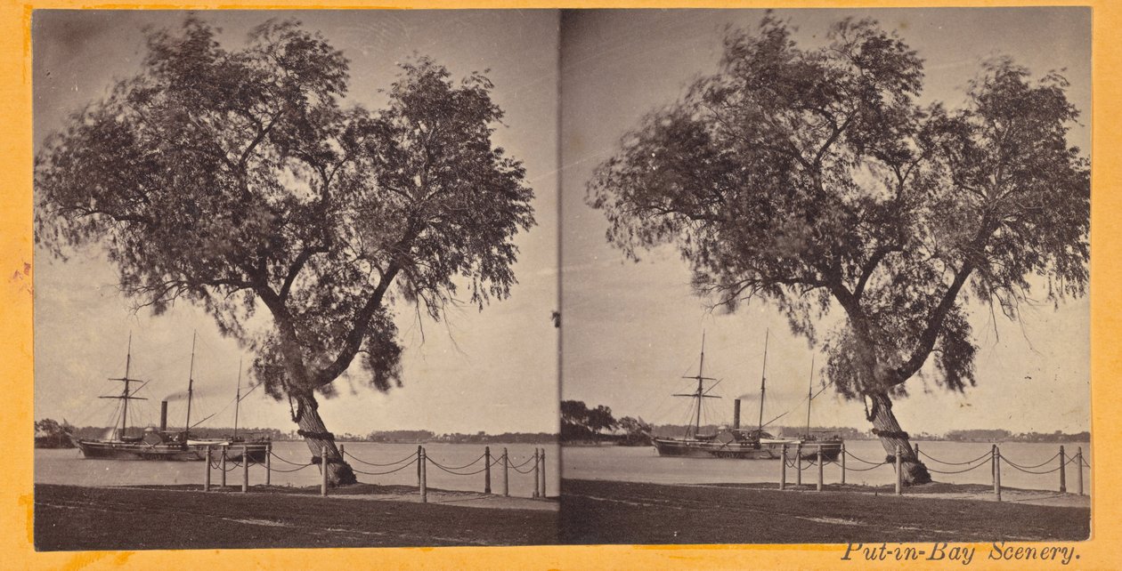 Salgueiro. Plantado por Com. Perry e outros sobreviventes da batalha do Lago Erie, para marcar a buria ... de Benedict Benedict