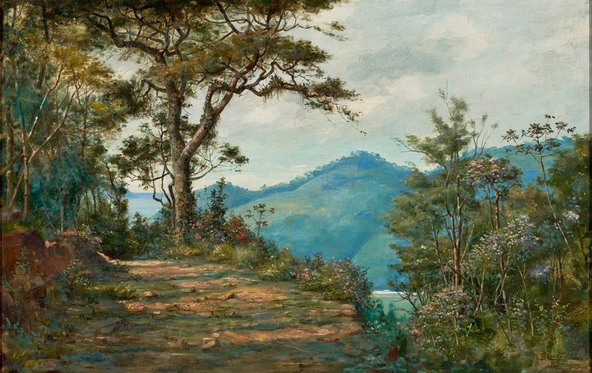  LandscapenPortugues: Paisagem da serie Matan de Benedito Calixto