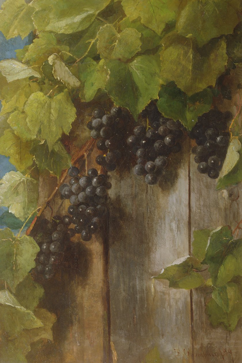 Uma videira de frutificação, 1889 de Benjamin Champney