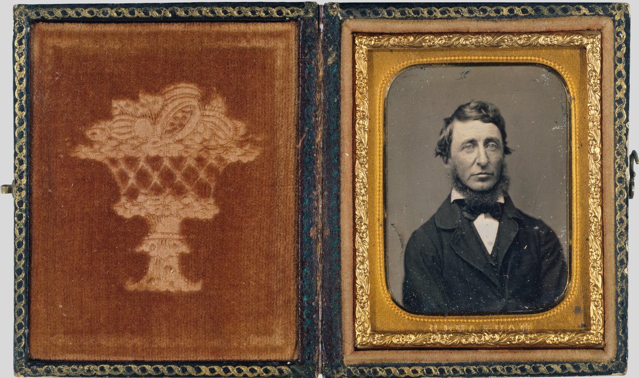 Henry David Thoreau de Benjamin D. Maxham