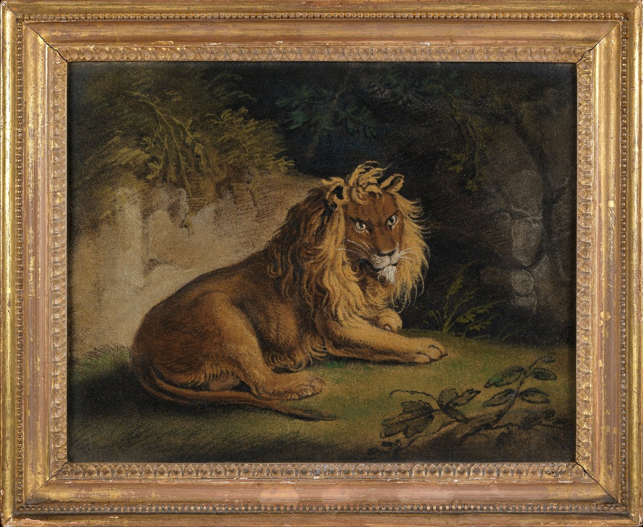 Um leão em uma paisagem de selva (imagem de areia a bordo) de Benjamin Zobel