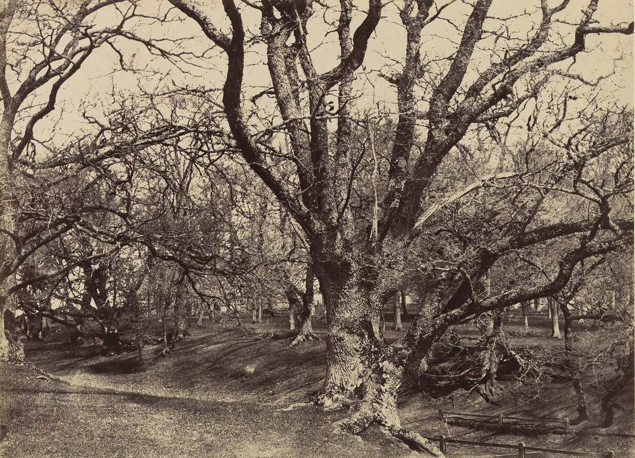 Pepperharrow Park, Surrey, 1852-54. de Benjamin Brecknell Turner