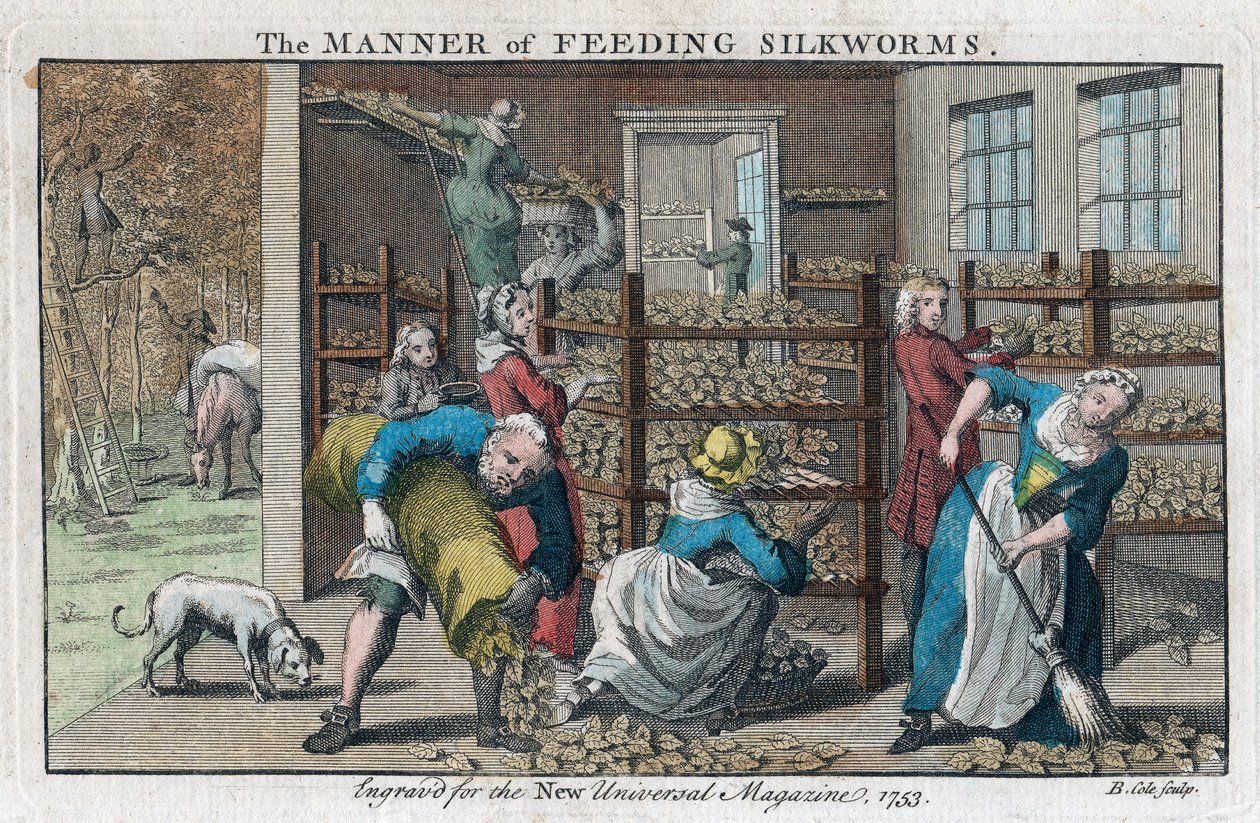 A maneira de alimentar os bichos-da-seda, 1753 de Benjamin Cole